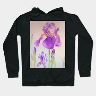 Iris Watercolor Painting - Elegant Purple Hoodie